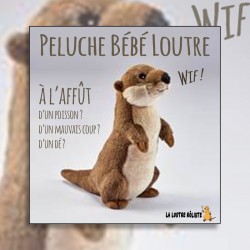 Peluche Bébé Loutre Dressée