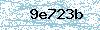 Code de sécurité