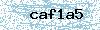 Code de sécurité