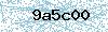 Code de sécurité