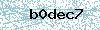 Code de sécurité