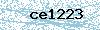 Code de sécurité