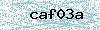 Code de sécurité
