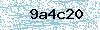 Code de sécurité