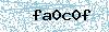 Code de sécurité