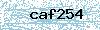 Code de sécurité