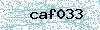 Code de sécurité