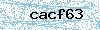Code de sécurité