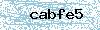 Code de sécurité