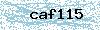 Code de sécurité