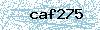 Code de sécurité