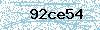 Code de sécurité