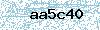 Code de sécurité