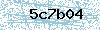 Code de sécurité
